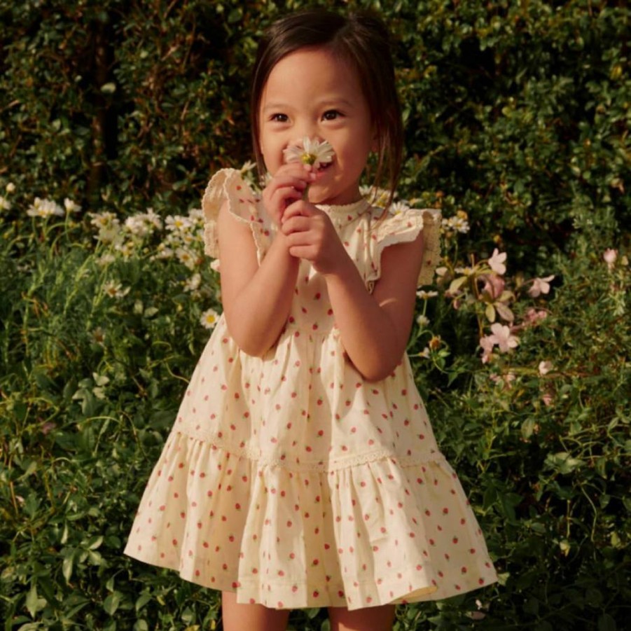 Amazon Essentials Girls' Ruffle Sleeve Woven Dress for Toddlers & Baby - Sofia Grainge Collection