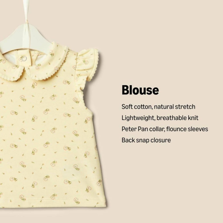 Amazon Essentials Toddler Girls' Short Sleeve Blouse 2-Pack, Soft Cotton Casual Top for Baby & Kids