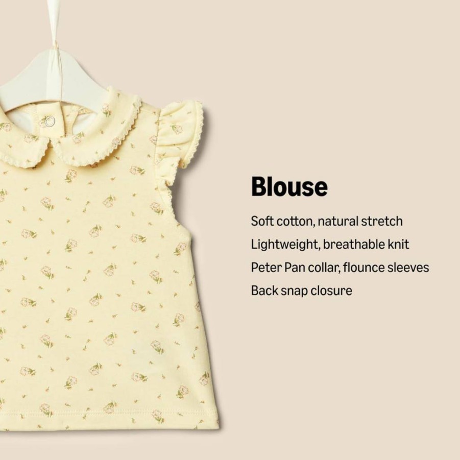 Amazon Essentials Toddler Girls' Short Sleeve Blouse 2-Pack - Soft Cotton Casual Tops for Baby & Kids