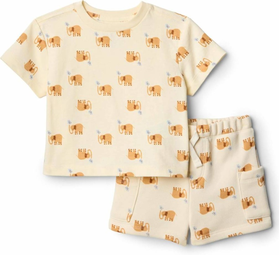 Amazon Essentials Toddler Boys' Cotton T-Shirt and Shorts Set - Regular Fit, Comfortable Playwear